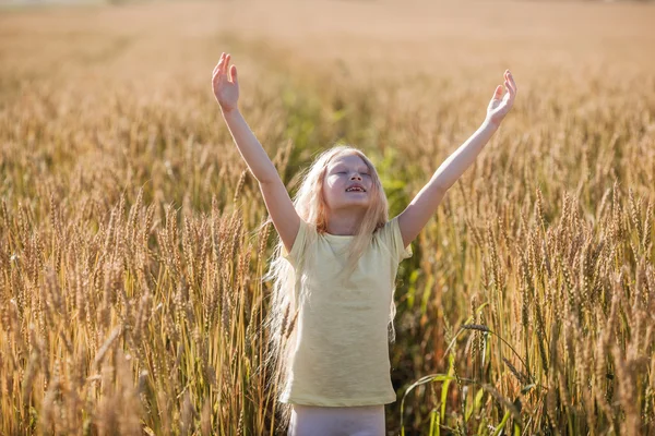 Chica en el campo de trigo — Foto de Stock