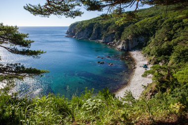 Pines sabah ışık denizde bir buzlu