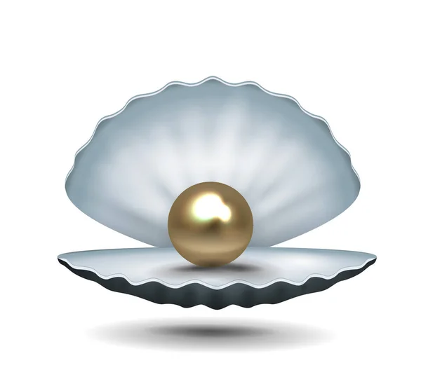 Euro Pearl Shell — Stock Vector