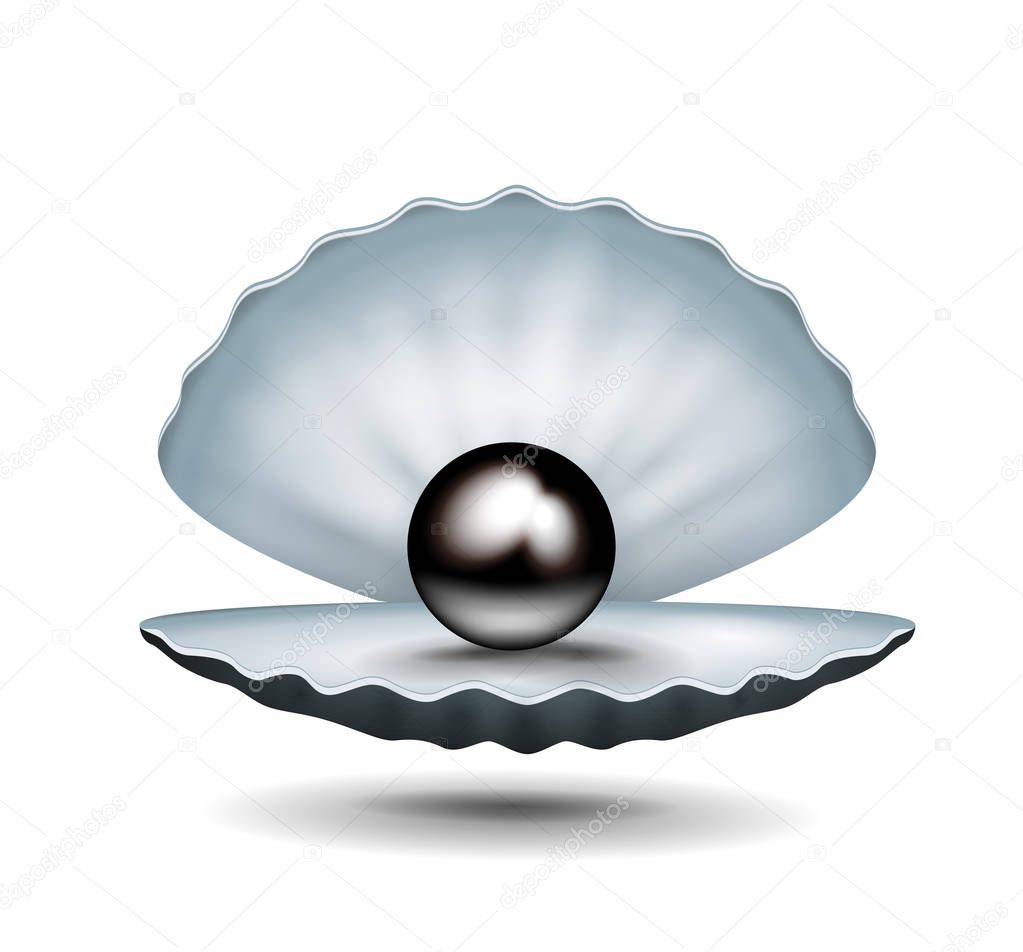 Euro as pearl inside shell 