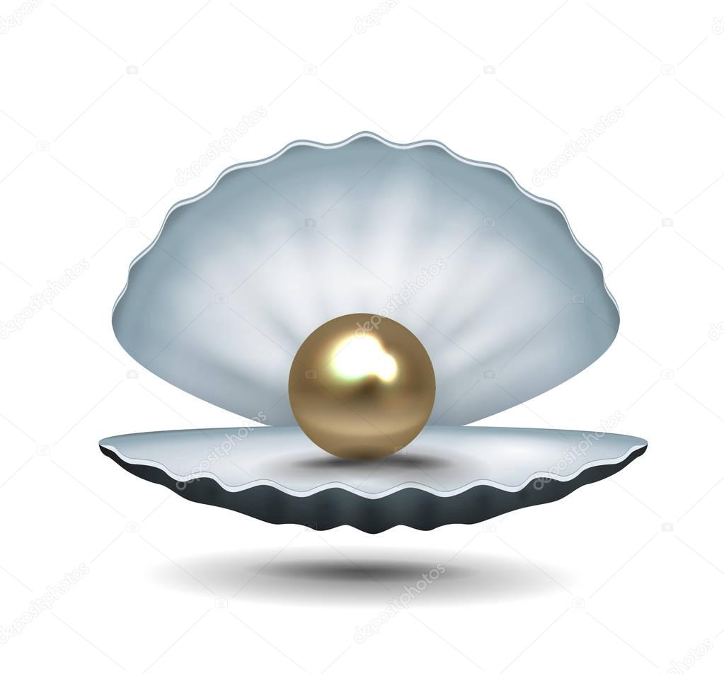 Euro as pearl inside shell 