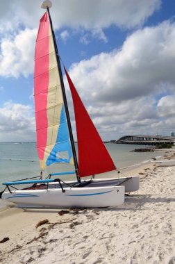 Catamaran Resting in the Sand on a Key Biscayne Beach clipart
