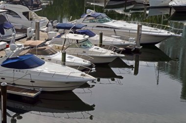 Aventura, Florida'da küçük bir Marina