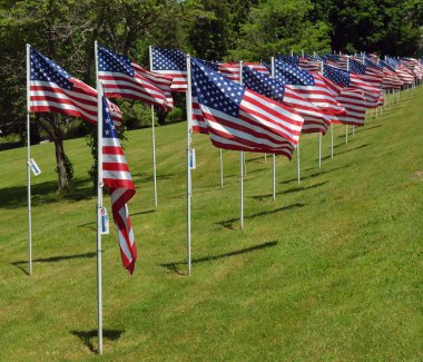 Bağımsızlık günü bayrak ekran