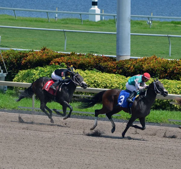 Üçüncülük için mücadele