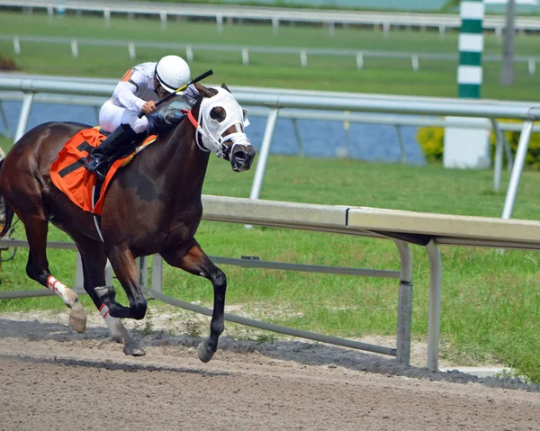 Ona ilk kazanmak için yola Fillie