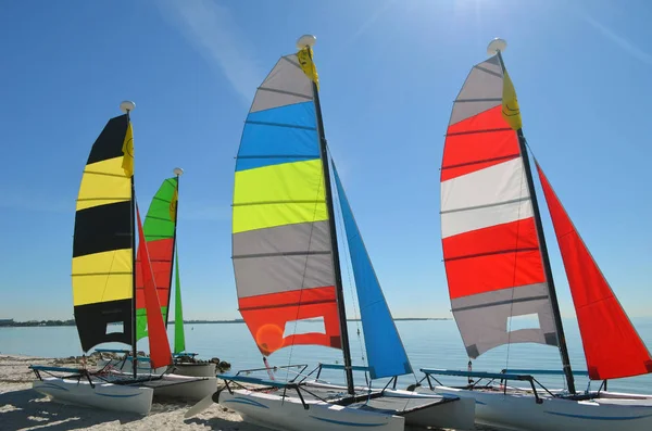 Cuatro Pequeños Catamaranes Vela Descansando Arena Una Playa Key Biscayne —  Fotos de Stock