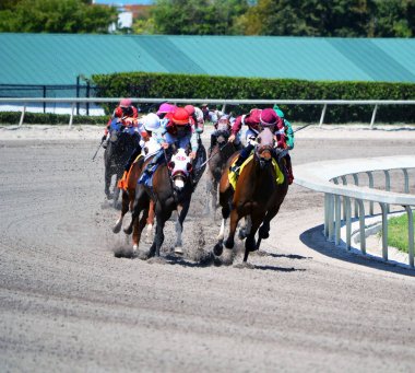 Üç at cesaret bir mil yarışta kir Gulfstream Park'ta üzerinde 30 Mart 2018 ardından kurşun dört at Twocubanbrothersu son yersiz geliyor.