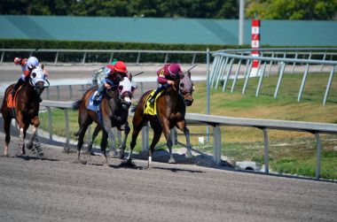 Düzlük üzerinde kir at Gulfstream Park, nerede, Florida üzerinde 30 Mart 2018, dört at üzerinde bir mil yarışı içine kurşun Twocubanbrothersu üç at cesaret ve çalışan üçüncü tarafından yedi at Chatiment takip.
