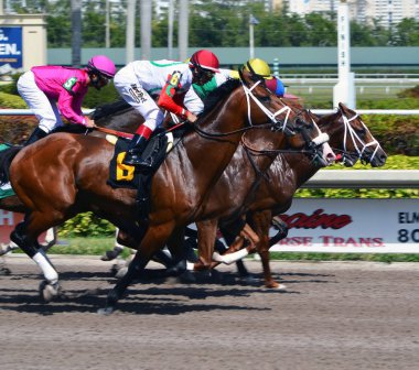 Onlar kapalı! Başlangıç sadece kir Gulfstream Park, nerede Florida 30 Mart 2018'bir mil ve 8 yarış için açılan kapısı. Yarış favori posta durum altı dışarı başlayan oran sabit çalışma tarafından kazanıldı.