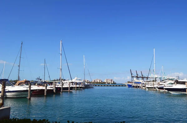 Assortment Luxury Boats Moored Marina South Beach Section Miami Beach — Stock Photo, Image