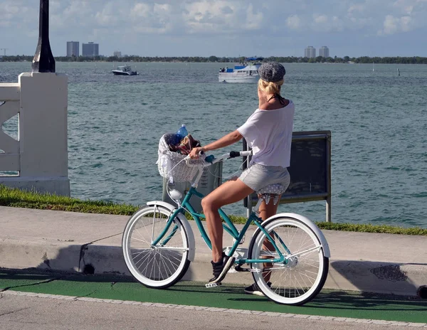 Jovem Atraente Andando Bicicleta Causeway Venetia Miami Beach Com Florida — Fotografia de Stock