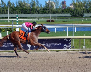 Hallendale, Florida, ABD. 15 Ocak 2020. Dream Willcome da Gulfstream Park 'taki üç yaşındaki bakireler için yapılan altı yüz metre yarışında koşmuştu..