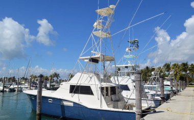 Florida 'daki Key Biscayne marinasına demirli ton balıklı balıkçı tekneleri..