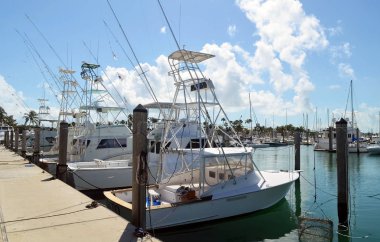 Florida 'daki Key Biscayne marinasında kiralık balıkçı tekneleri var.