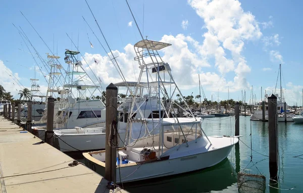 Charter Sport Fishing Boats Docked Key Biscayne Florida Marina — Stock Photo, Image