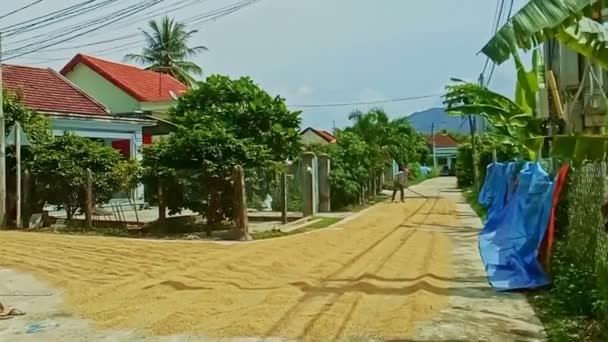 Pequeña calle con casas y palmeras — Vídeo de stock