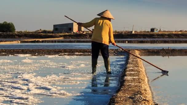 Män som arbetar på salt fält — Stockvideo