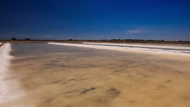 Industrial vaporized salt fields — Stock Video