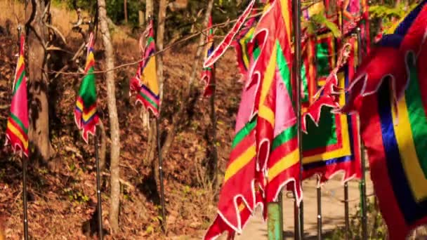 Red religious buddha flags — Stock Video