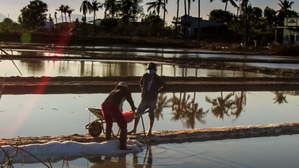 소금 수레를 작성 하는 베트남 남자 — 비디오
