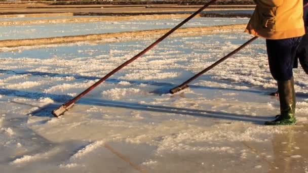 Men working on salt field — Stock Video