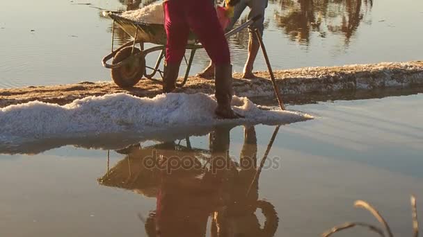 Hombres que trabajan en el campo de sal — Vídeos de Stock