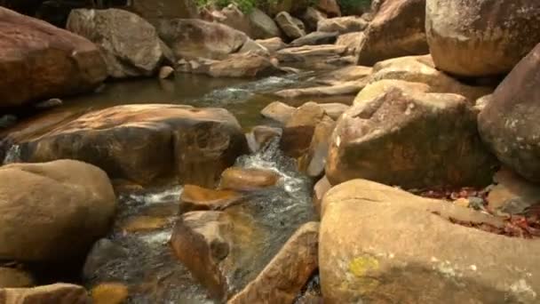 Felsbrocken am Gebirgsfluss in tropischem Park — Stockvideo