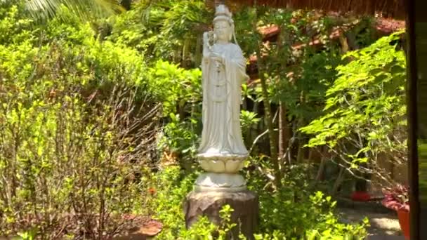 Статуя Будди серед тропічних рослин — стокове відео
