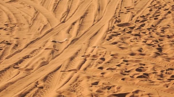 Dunas y cuádruples distantes se ejecuta en el horizonte y jeep — Vídeo de stock