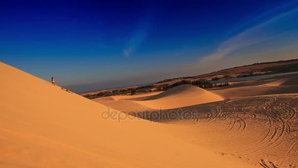 Dunes de sable avec des pistes — Video