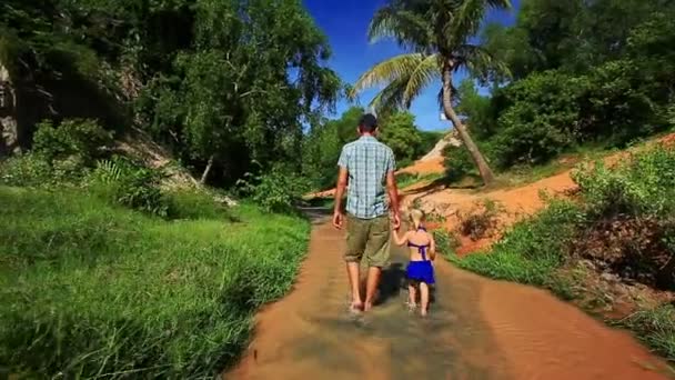 Papa Fille Promenade le long du ruisseau de fées entre les banques vertes — Video