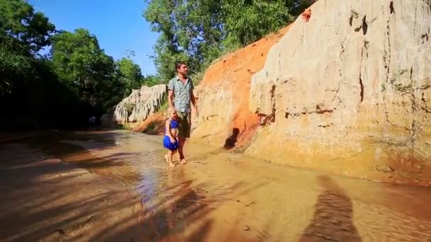 Little Girl Walks by Hand with Dad on Fairy Stream — Stock Video