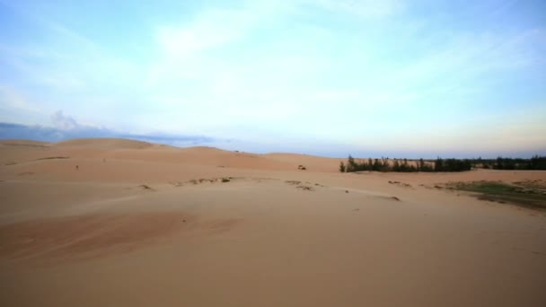 夕暮れ時の空に金の砂丘のパノラマ — ストック動画
