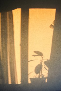 Kapalı çiçek siluet perde tarafından pencere eşiğinde