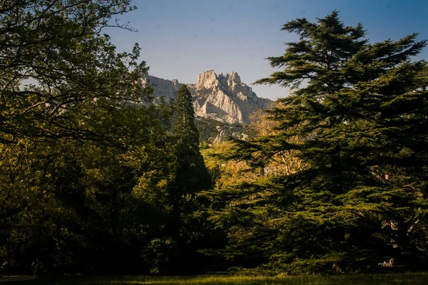 Distant Rocky Mountain Peak Surrounded Green Forest Sunlight Vorontsov Palace — Stock Photo, Image