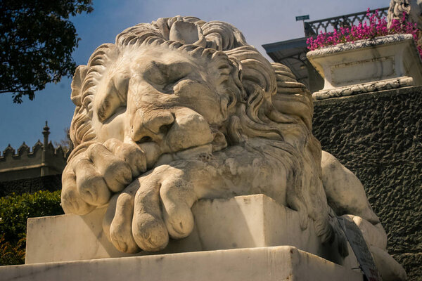 Крупный план головы старой скульптуры льва из белого мрамора в Крыму Воронцовский дворцовый парк весной
