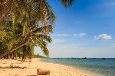 altın kum plaj masmavi deniz mavi gökyüzü parlak güneş ışığı altında karşı yüksek avuç içi eğil