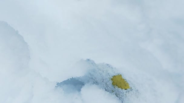 特写老院子与黄色轮胎覆盖白色蓬松的雪 — 图库视频影像