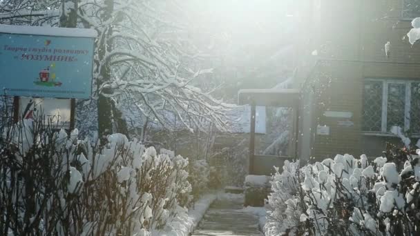 Brillante Invierno Luz Del Sol Brilla Través Ramas Árboles Cubiertos — Vídeo de stock