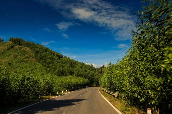 Autostrada Soleggiata Tra Alte Piante Tropicali Contro Colline Lontane Cielo — Foto Stock