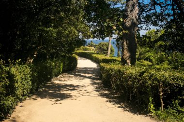 Vorontsov palace park yürüyüş-yol boyunca Kırım'mavi gökyüzü karşı yeşil ağaçların altında çalılar