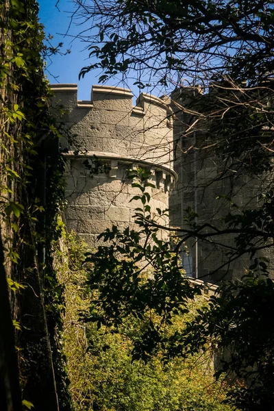 Detailní Straně Kulaté Věže Skrze Větve Stromů Horolezci Podporu Zdi — Stock fotografie