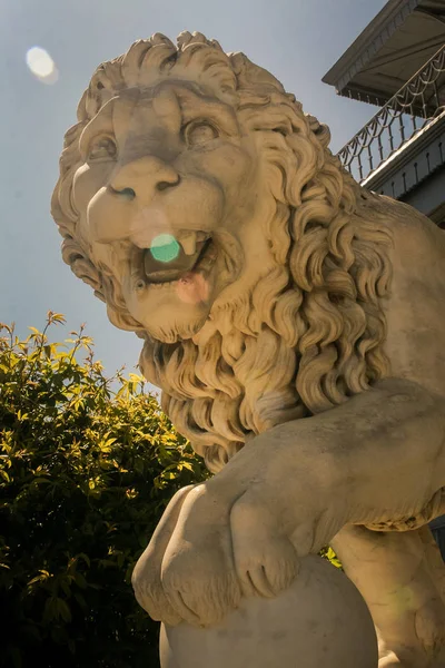 Głowę Zbliżenie Starych Biała Rzeźba Marmurowa Lwa Parku Pałacu Woroncowa — Zdjęcie stockowe