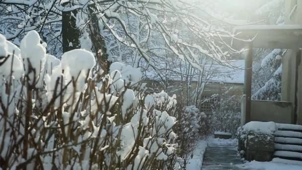 Sole invernale splende nel vecchio cortile della scuola — Video Stock