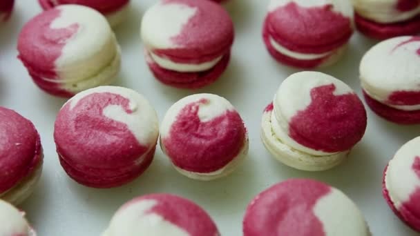 Panorama ned på många franska macaroon på vit bakgrund — Stockvideo