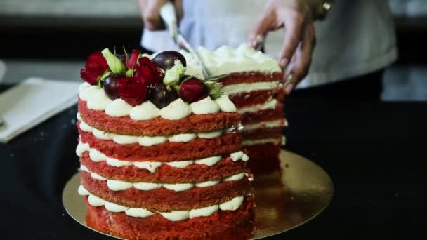 Konditor Hände Piaces Geschnitten Rote Mehrschichtige Kuchen Mit Weißem Bizet — Stockvideo