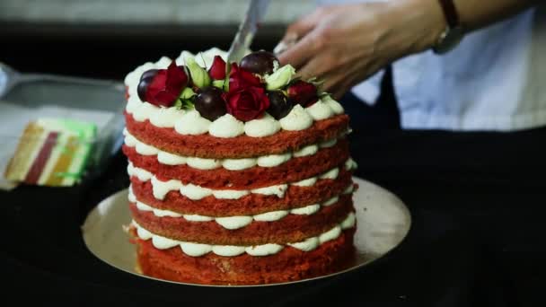 Confectioner Hands Cut Slowly Portions Red Multi Layer Cake Decorated — Stock Video
