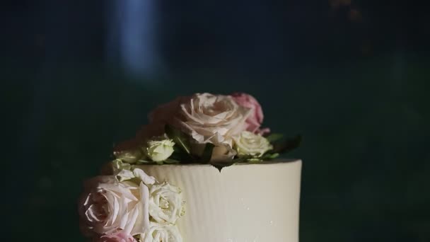 Close up panorama para baixo no bolo de casamento branco com rosas rosa — Vídeo de Stock