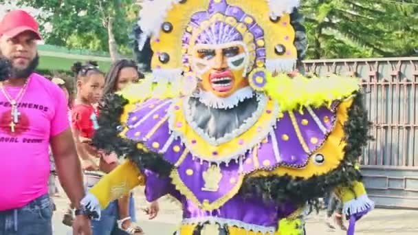 Muži pózují v pestrobarevných karnevalových kostýmech na tradiční dominikánské výroční akci — Stock video